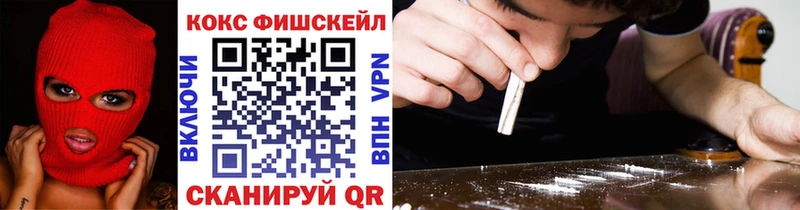 Кокаин Эквадор  наркота  Жуковский 